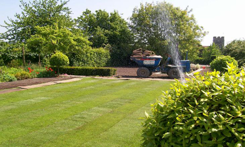 Watered turf